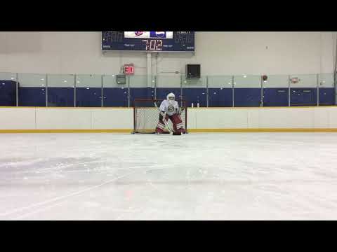 Beginner Puck Tracking Drill